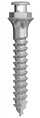 Ортодонтические имплантаты SD-Mini-Ortho NH D-1.8mm, L-10mm SDONH-18-100