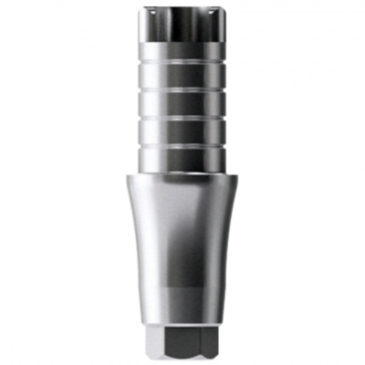 База для изготовления индивидуального абатмента AnyRidge d 4.0 h 0.6 p 6 без шестигранника aanipr4016n.mtn