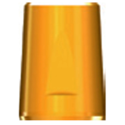 Цилиндр EZ Post винтового абатмента с восьмигранником, d 5.0/h 5.5 AAOECO5005T