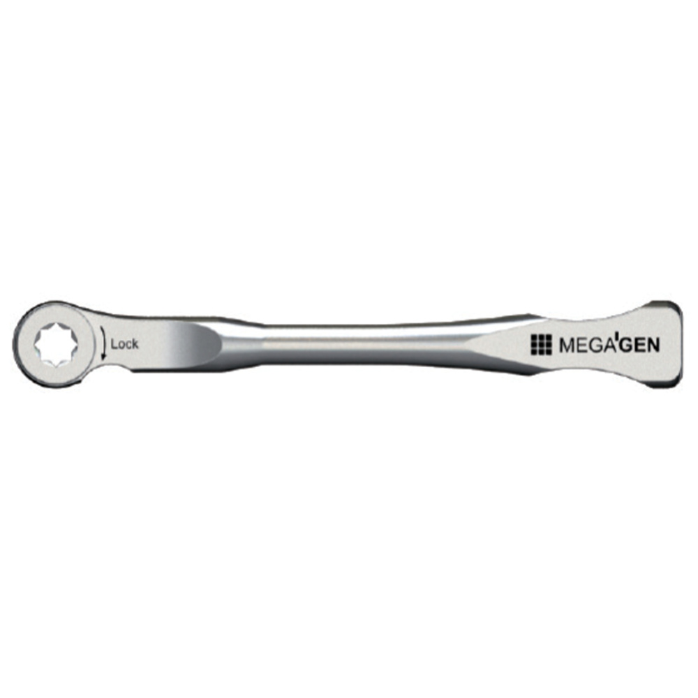 Храповый ключ AnyRidge mrw040s