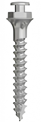 Ортодонтические имплантаты SD-Mini-Ortho LH D-1.6mm, L-10mm