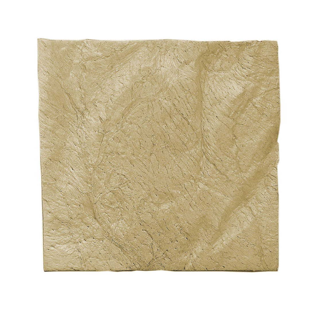 Лиопласт: полоска твердая мозговая оболочка, 1.5х1.5 см