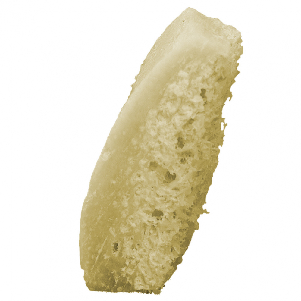 Лиопласт: блок губчато-кортикальный 1х2х0.5 см
